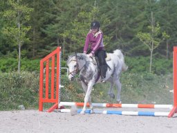 IMG_0597_web